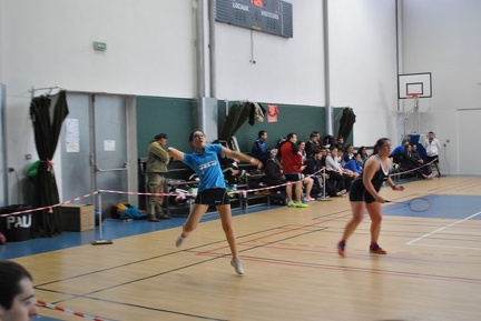 DSC 0668 (Copier) (Copier)